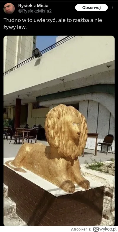 Afrobiker - #heheszki