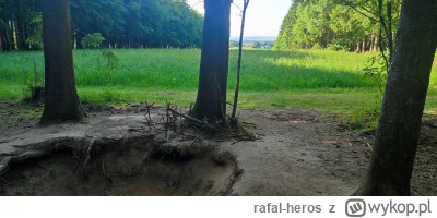 rafal-heros - @elvp: byłem w tym roku w Belgii. Las pod Bastogne i widok na wioskę kt...
