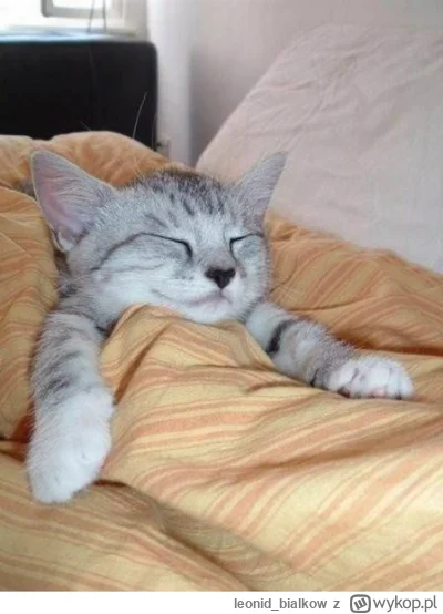 leonidbialkow - @CorvusFrugilagus: cze dla ciebie