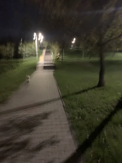 Konon_owicz - #przegryw ja na spacerze wy zazdrośni całe te