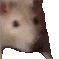 EpicElion - https://gam.onl/

Przypominam o najlepszej stronie do gry emu-online. 
Ko...