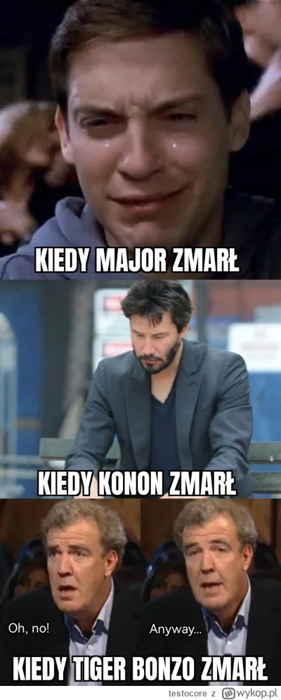 testocore - #bonzo 
#kononowicz 
#patostreamy