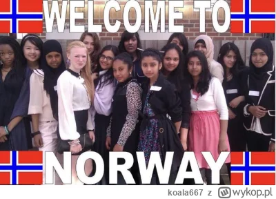 koala667 - @Orbiter01: Co? Norwegia? xD tam już jakieś 17% populacji kraju to obcokra...