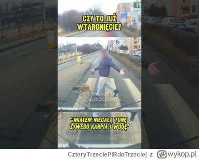 CzteryTrzeciePiRdoTrzeciej - @LudzieToDebile: Winne tego że część pieszych wchodzi na...