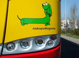 starnak - A jednak: zielone jamniki uratowane! Wracają na autobusy   https://warszawa...