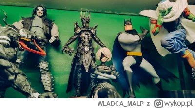 WLADCA_MALP - #zdjeciatarzana