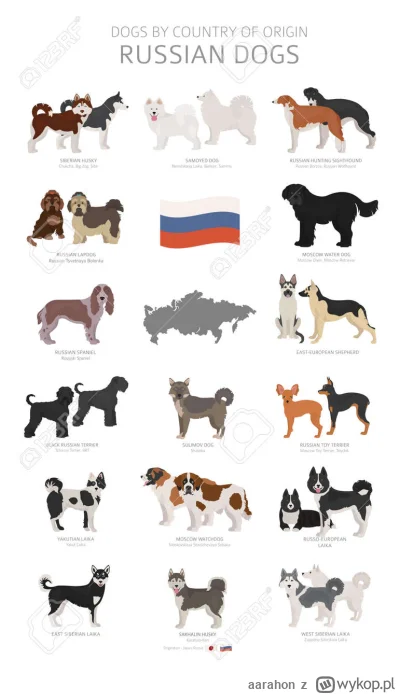 aarahon - @wyscrollowany: nie pisz tak! Ostatnio jak pisałem że ruskie psy nie są lud...