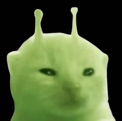 ada_lovelace - #koty