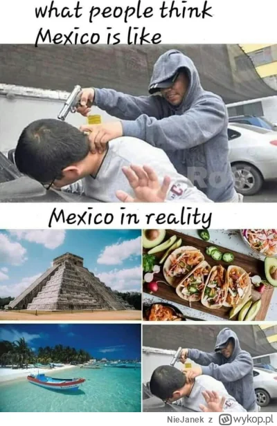 NieJanek - @uciekinierzplantacji_janusza: