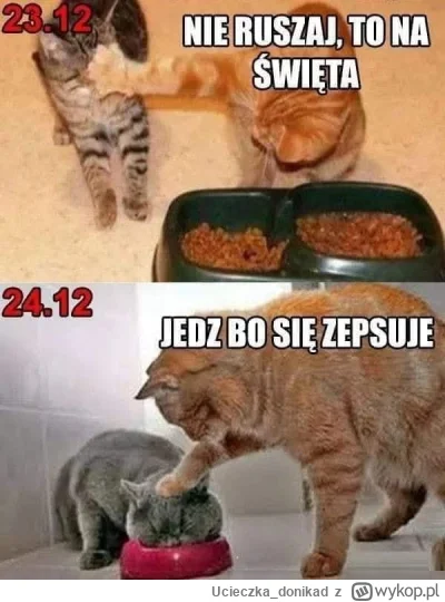 Ucieczka_donikad - To już ( ͡º ͜ʖ͡º)
#swieta #wigilia #bozenarodzenie