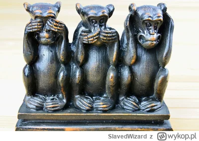 SlavedWizard - @barto142: Mowisz ze z nim to jak na zalaczonym obrazku?