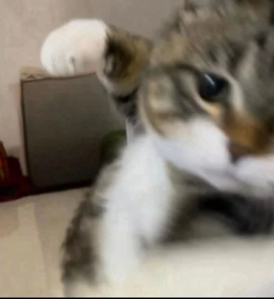 shadyturtle - @amrotek: