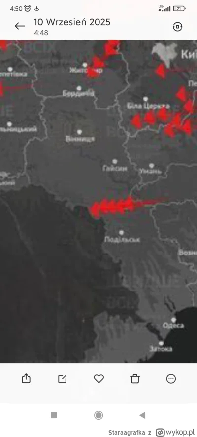 Staraagrafka - @flytying Zastanawia mnie gdzie te lecą.