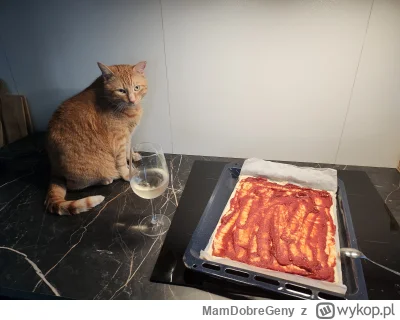 MamDobreGeny - Sprawdza czy czasem gdzies kawałek mięsa nje spadnie 
#koty #pokazkota