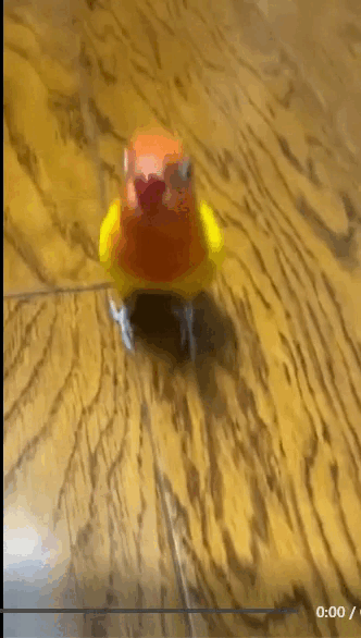 wfyokyga - Mame pacz co umiem