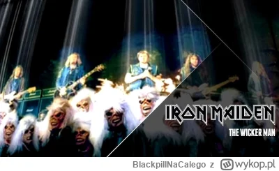 BlackpillNaCalego - #metal  #gitara 90 procent utworów  iron maiden - powolne akustyc...