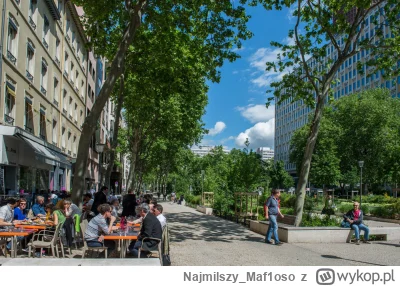 Najmilszy_Maf1oso - @Lardor Centra miast bez samochodów albo przynajmniej bez gruzów....