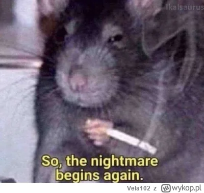 Vela102 - Zapraszamy do recepcji, za chwilę rozdajemy żetony. W worku czerwone i ziel...