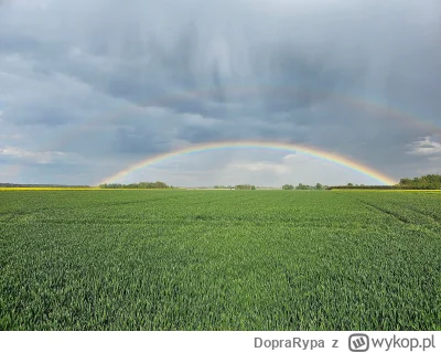 DopraRypa - 134 775 + 149 = 134 924

Rzepak + tęcza premium się trafiła. ( ͡º ͜ʖ͡º)
...