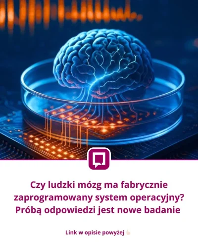 Timer_555 - #przegryw 

Normik OS