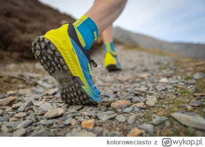 koloroweciasto - Jakie buty do biegania ultra w górach?
#bieganieultra