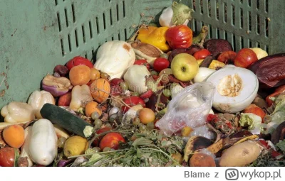 Blame - @kamil-tika: