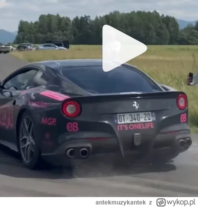 antekmuzykantek - Typ w tym aucie