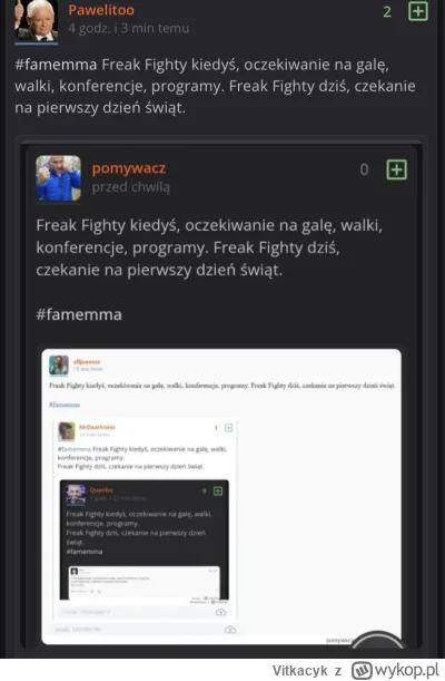 Vitkacyk - Freak Fighty kiedyś, oczekiwanie na galę, walki, konferencje, programy. Fr...