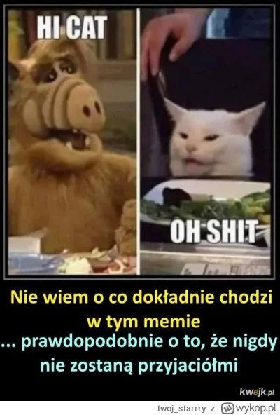 twoj_starrry - @Kalwi niech @Stebat wytlumaczy czemu jest na memach o alfie... po pro...