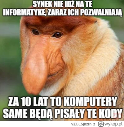 vZGLSjkzfn - #programista15k