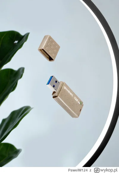 PawelW124 - #przegryw 

Zobaczcie chłopy jakie j---a.
Pendrive z obudową biodegradowa...