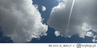 WLADCA_MALP - #zdjeciatarzana