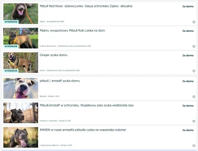 4mmc-enjoyer - "Rasa nie ma znaczenia", "Każdy pies może być agresywny", "Nie ma czeg...