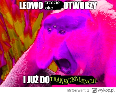 MrGerwant - #konkursnanajbardziejgownianymemznosaczem