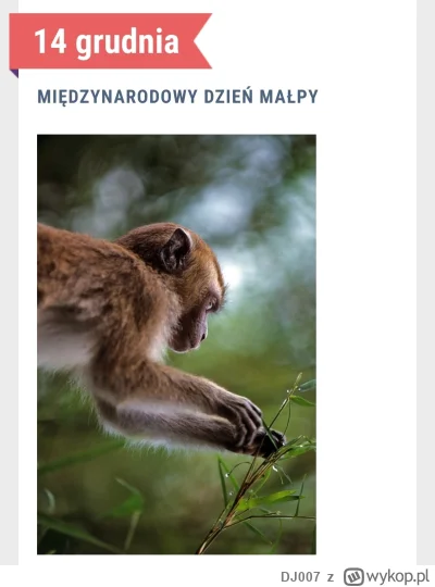 DJ007 - #gielda Sobie i innym czytaczom tagu, aktywnym i pasywnym, życzę wszystkiego ...