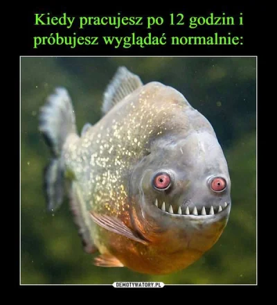 Piotrek7231 - #heheszki 
Życia trudy