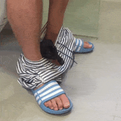 wfyokyga - haha paruwka