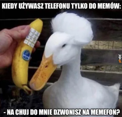 huopisko - @tomekx11994