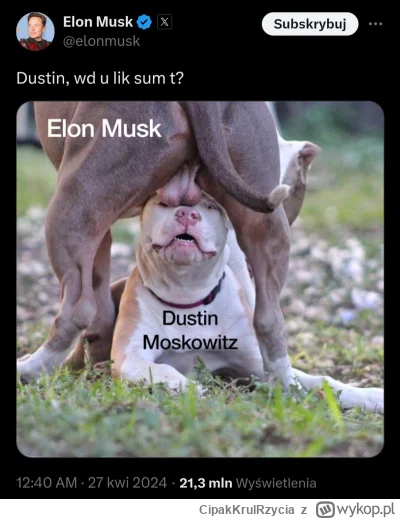 CipakKrulRzycia - #elonmusk #facebook #humorobrazkowy #heheszki