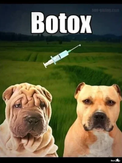 mikowachowski - Haha ^^

#memy #heheszki #medycyna estetyczna #botox #mniesmieszy