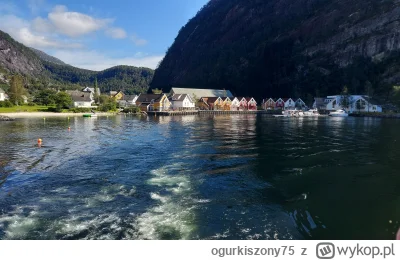 ogurkiszony75 - Niedzielka boża #czujedobrzeczlowiek