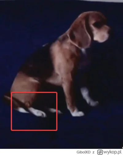 GibolXD - @boolProptestingCheatsEnabledtrue: no to jeszcze bardziej widac to przetarc...