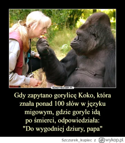 Szczurek_kupiec - #bonzo akat wiem o kim  menel spiewał "koko" 
Akat o swojej żonie t...