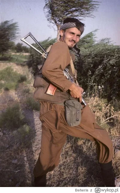 Beheris - Taki jakiś podobny.