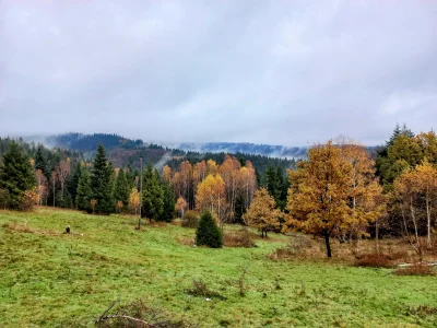 WR9100 - Łamana Skała 929 m n.p.m. (Beskid Mały)
Data: 21.11.2023
Trasa: Ślemień (szl...