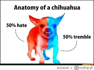 woydekD - @ProstyKrzywy a Holownie cziłałą nazywali jak zero to picrel