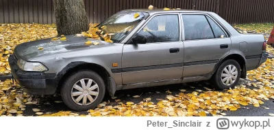 Peter_Sinclair - Dzisiejsza dawka gratów i wrostów @lonelyjunkcars

#samochody #motor...