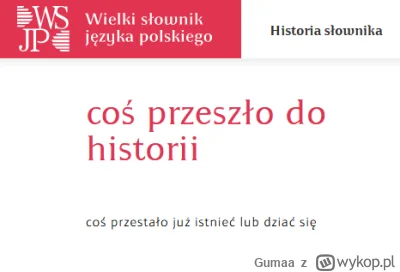 Gumaa - > Elon Musk przechodzi do historii