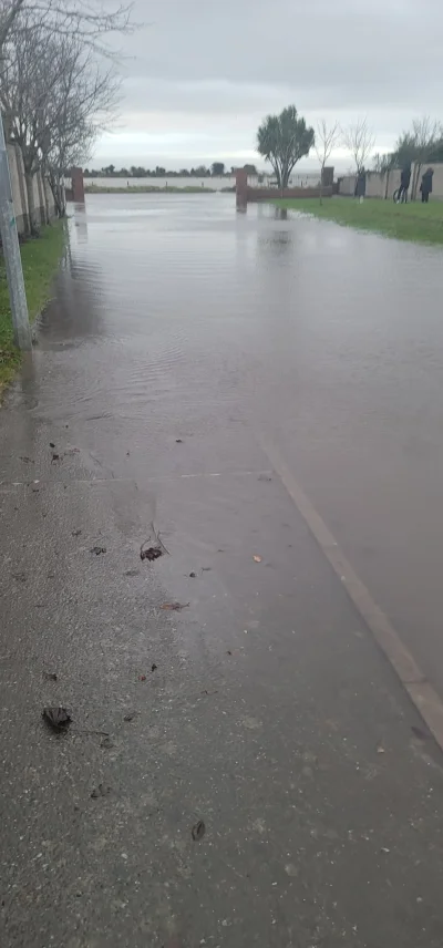 SzejtanekII - A czlowiek myslal, ze 2km od morza to juz bedzie spokoj...

#irlandia #...