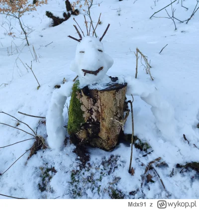 Mdx91 - Zrobiłem bałwana Maćka
#chwalesie #mdxzkapcia